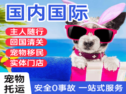 乌审旗嘎鲁图航空运输国际宠物托运 【国